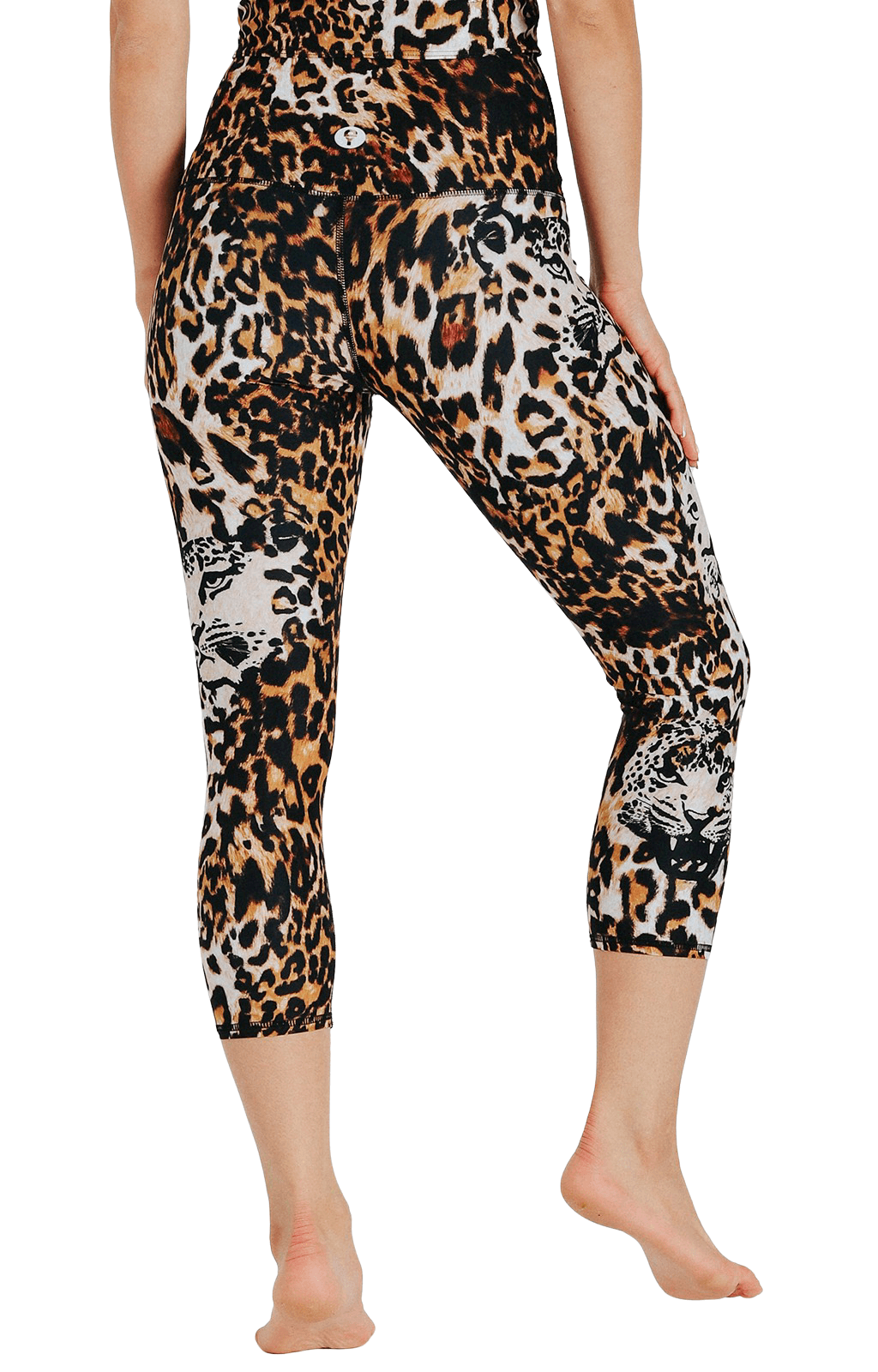 TEEK - Capri Legging - Wildcat PANTS TEEK YD