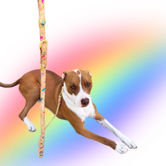 TEEK - Rainbow Pride Cork Leather Leash PET SUPPLIES TEEK DIP