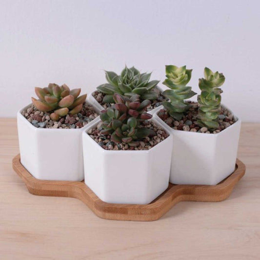 TEEK - Beehive Planter HOME DECOR TEEK FG