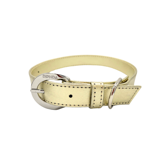 TEEK - Champagne Gold Cactus Collar PET SUPPLIES TEEK DIP S Silver Color