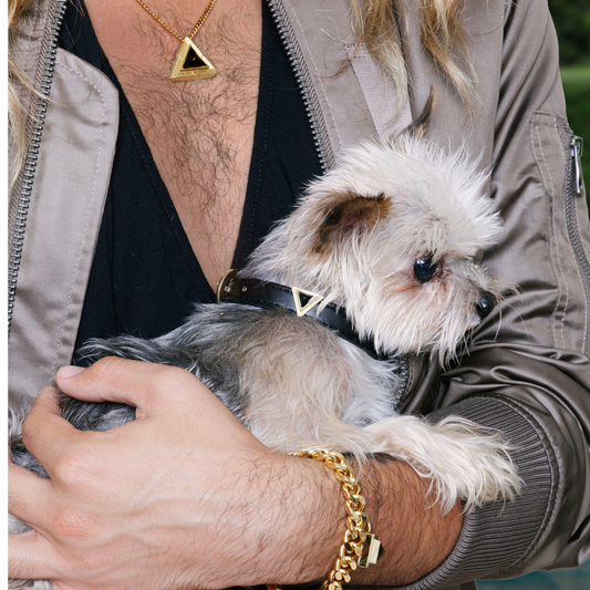 TEEK - Onyx Triangle Crystal Charm – Gold or Silver PET SUPPLIES TEEK DIP