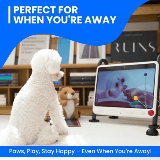 TEEK - DOGSPLAY - SMART TV FOR DOGS PET SUPPLIES TEEK DTV