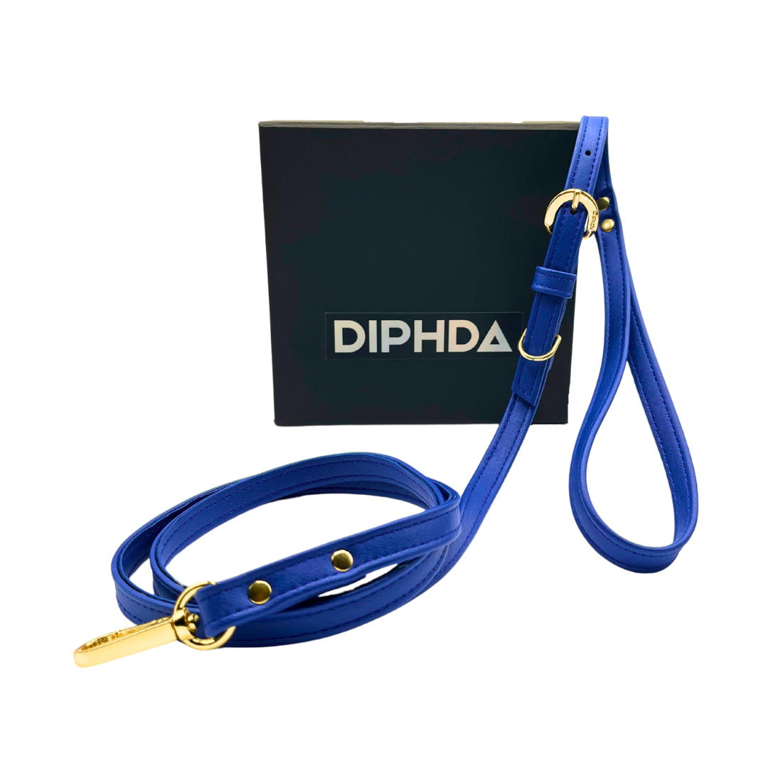 TEEK - Galactic Blue Cactus Leash PET SUPPLIES TEEK DIP