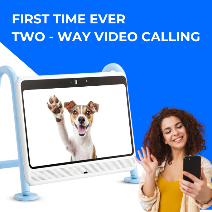 TEEK - DOGSPLAY - SMART TV FOR DOGS PET SUPPLIES TEEK DTV