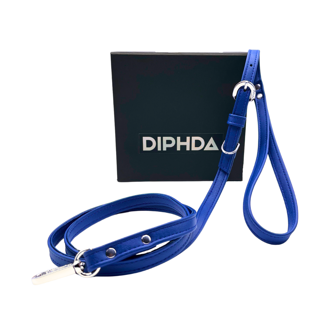 TEEK - Galactic Blue Cactus Leash PET SUPPLIES TEEK DIP