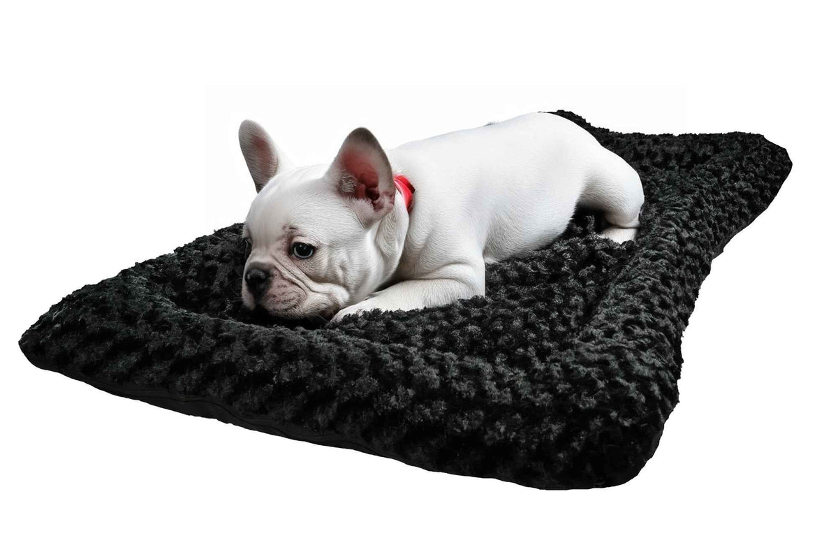TEEK - Dog Bed - Rectangle Bolstered Furvana™ 'Cloud' PET SUPPLIES TEEK AD XSmall 21" x 18" Black