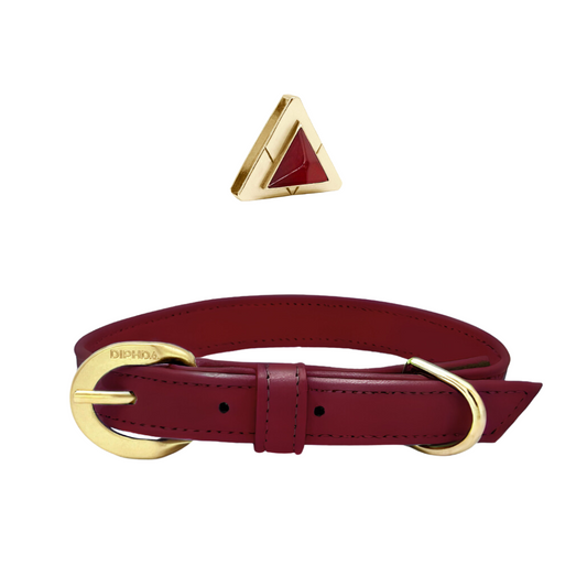 TEEK - Bordeaux Carnelian Collar & Charm Set PET SUPPLIES TEEK DIP