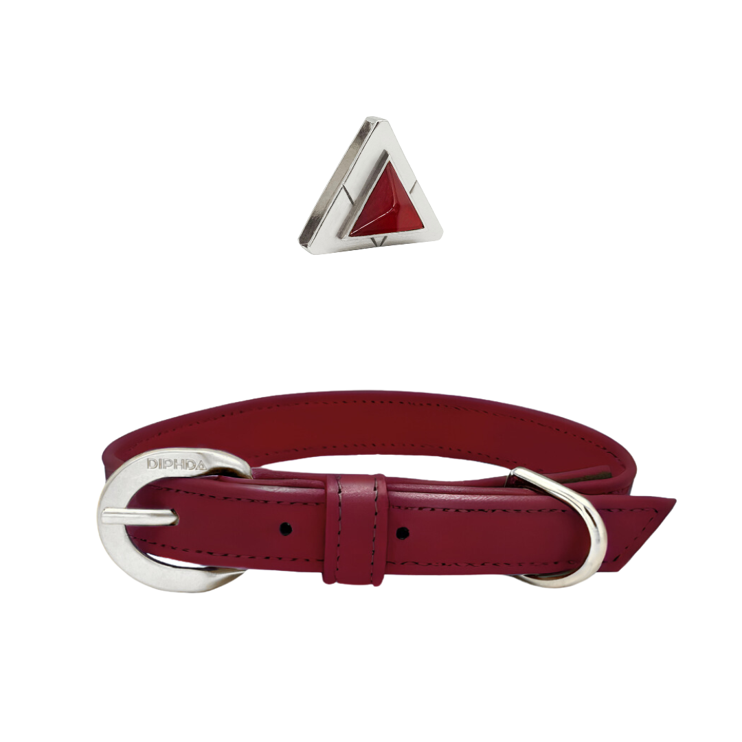 TEEK - Bordeaux Carnelian Collar & Charm Set PET SUPPLIES TEEK DIP
