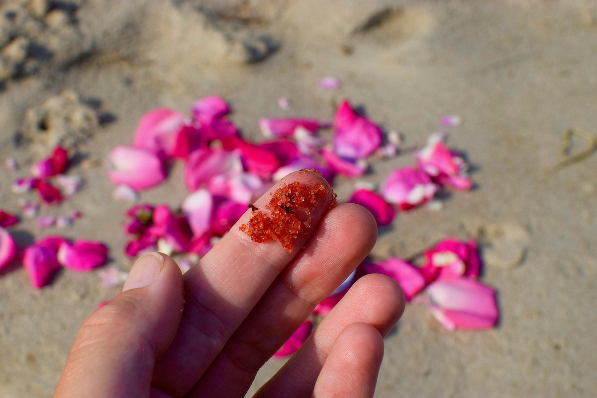 TEEK - Beach Rose Scrub SKINCARE TEEK PM
