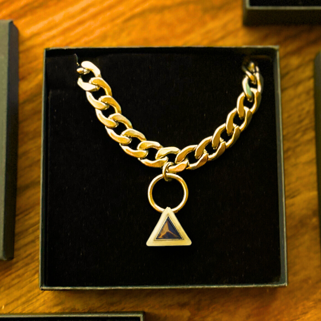 TEEK - Fierce Gold Pet Necklace PET SUPPLIES TEEK DIP