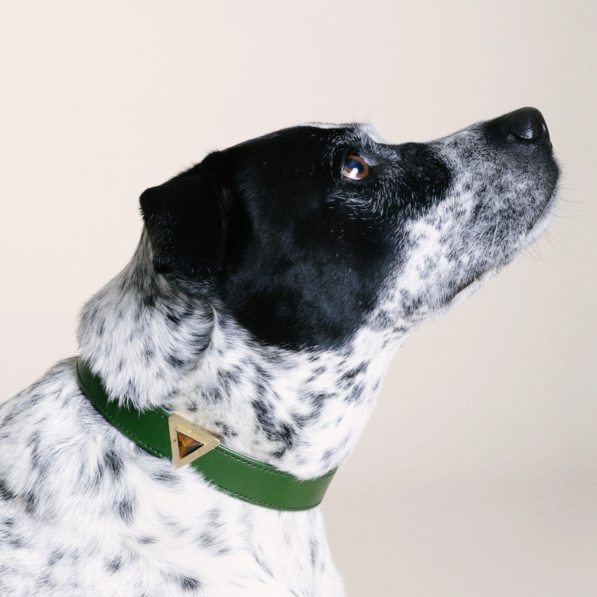 TEEK - Olive Tiger Collar Charm Set PET SUPPLIES TEEK DIP