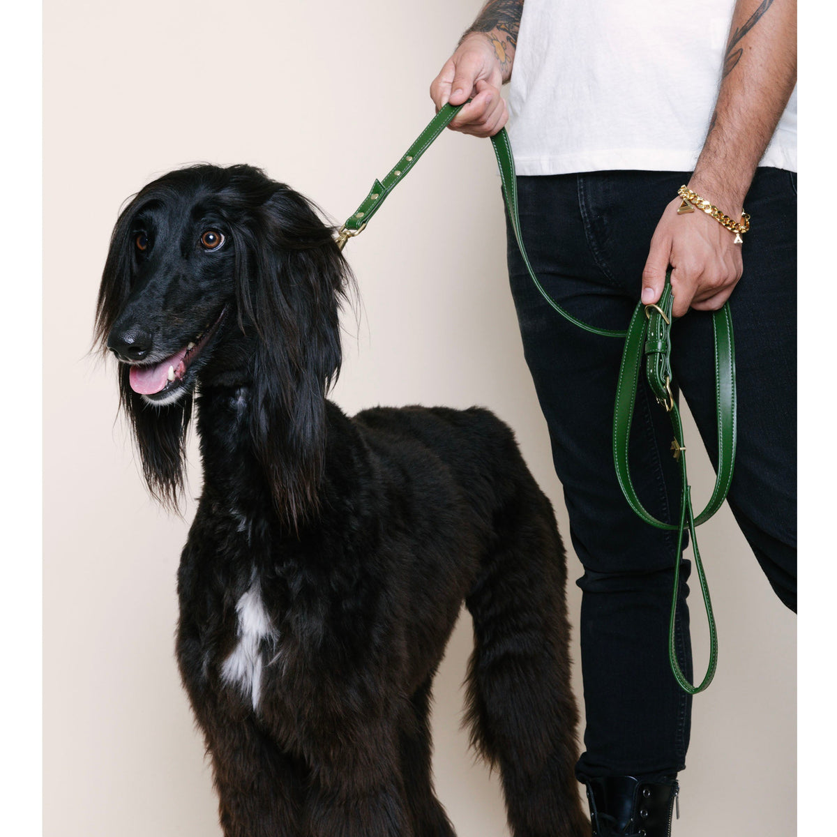 TEEK - Olive Cactus Leash PET SUPPLIES TEEK DIP