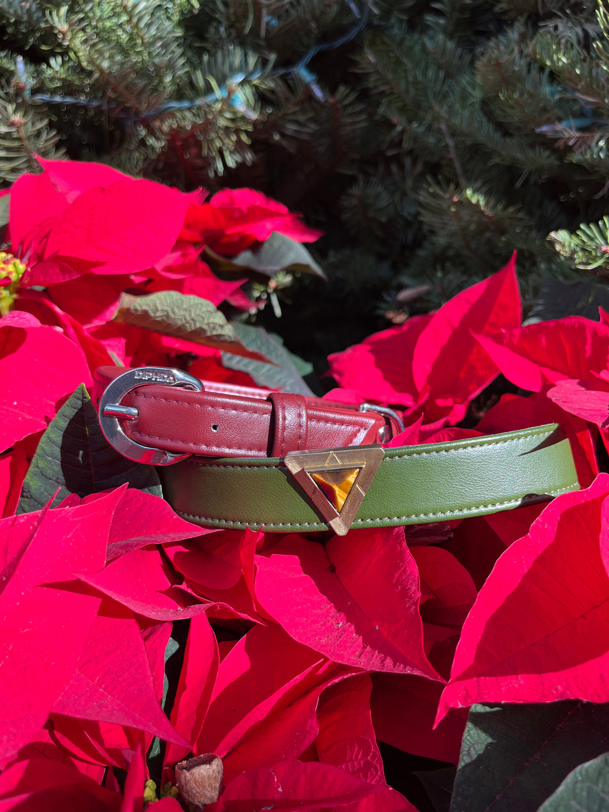 TEEK - Bordeaux Red Cactus Collar PET SUPPLIES TEEK DIP