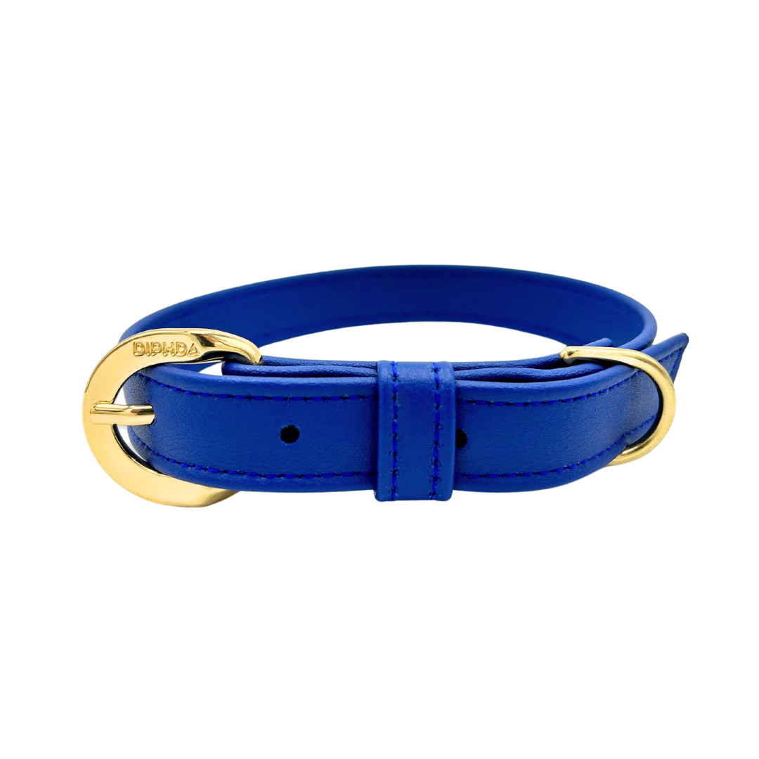 TEEK - Galactic Blue Cactus Collar PET SUPPLIES TEEK DIP S Gold Color