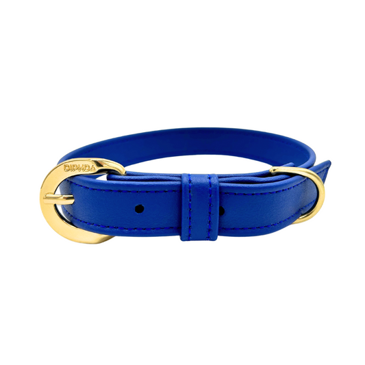 TEEK - Galactic Blue Cactus Collar PET SUPPLIES TEEK DIP S Gold Color