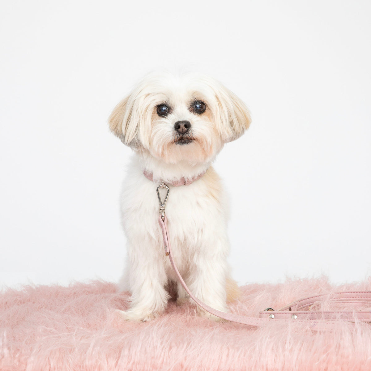 TEEK - Love Pink Cork Leather Collar PET SUPPLIES TEEK DIP
