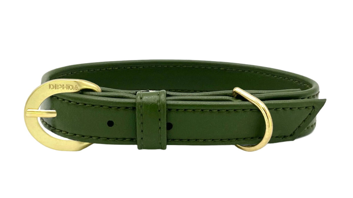 TEEK - Olive Green Cactus Collar PET SUPPLIES TEEK DIP S Gold Color