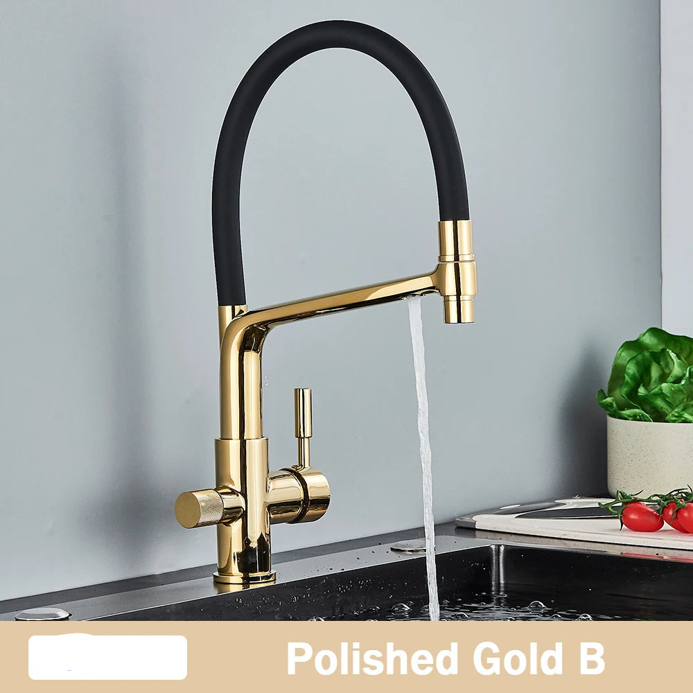 TEEK - Pull Down Purification Filter 360 Swivel Kitchen Faucet HOME DECOR theteekdotcom Gold B