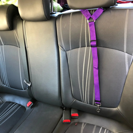 TEEK - Two-In-One Pet Car Seat Belt PET SUPPLIES theteekdotcom