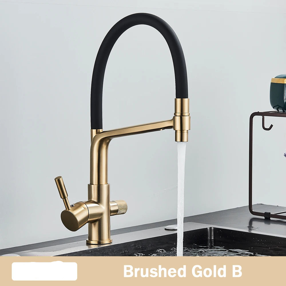 TEEK - Pull Down Purification Filter 360 Swivel Kitchen Faucet HOME DECOR theteekdotcom Brushed Gold B