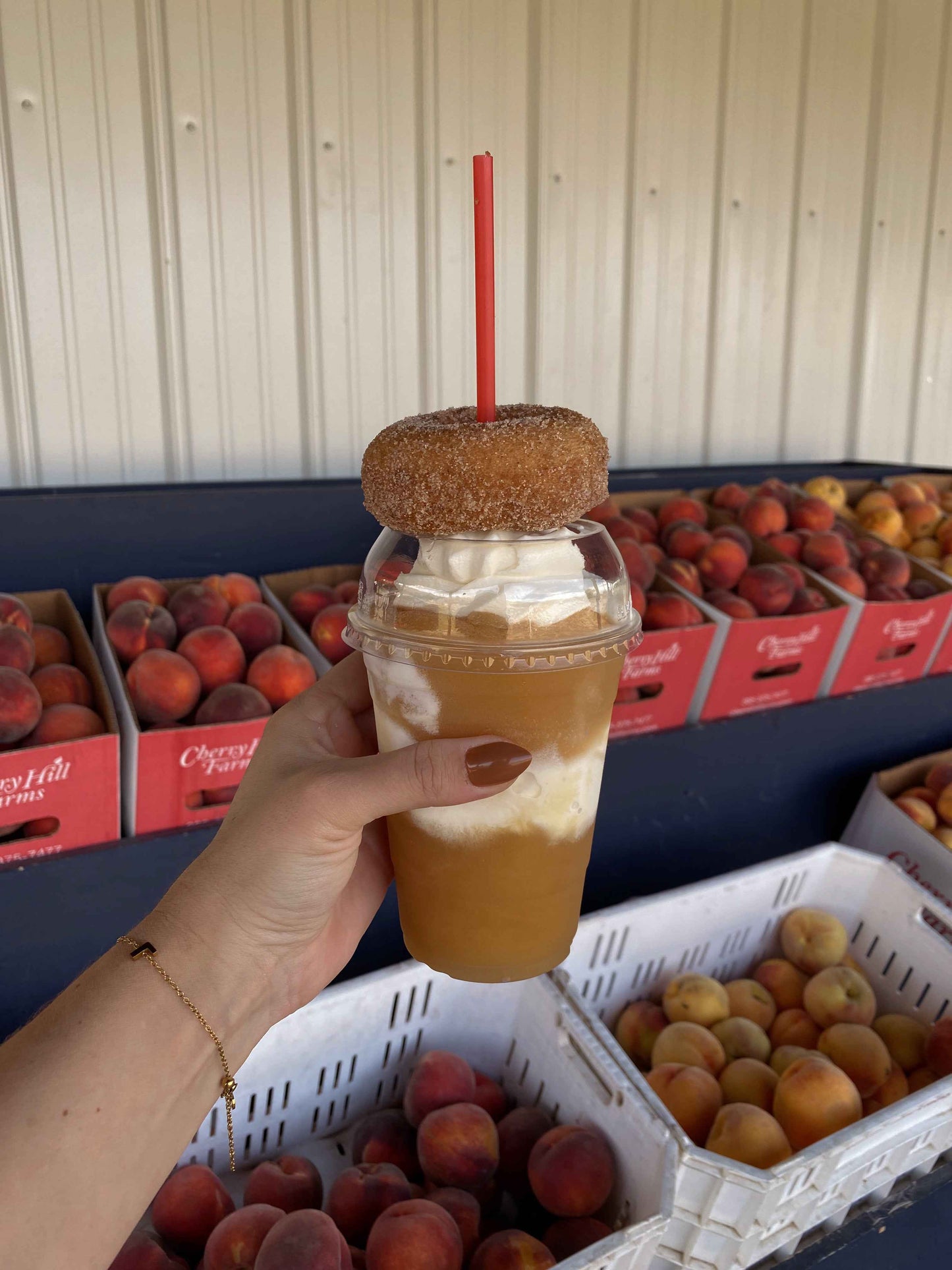 TEEK - Spiced Cider Nail Set NAIL ART TEEK NN