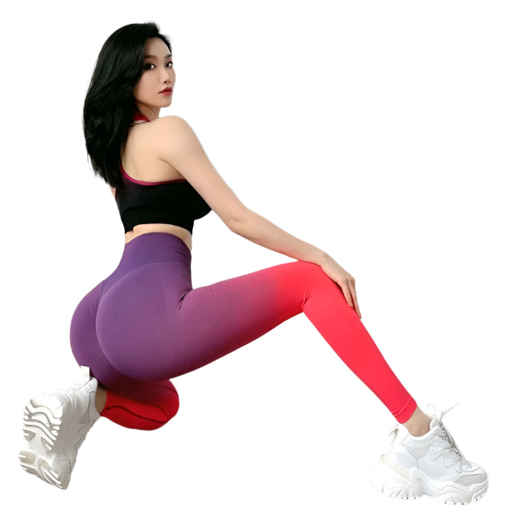 TEEK - Ode to Ombre Sculpting Leggings PANTS TEEK RP