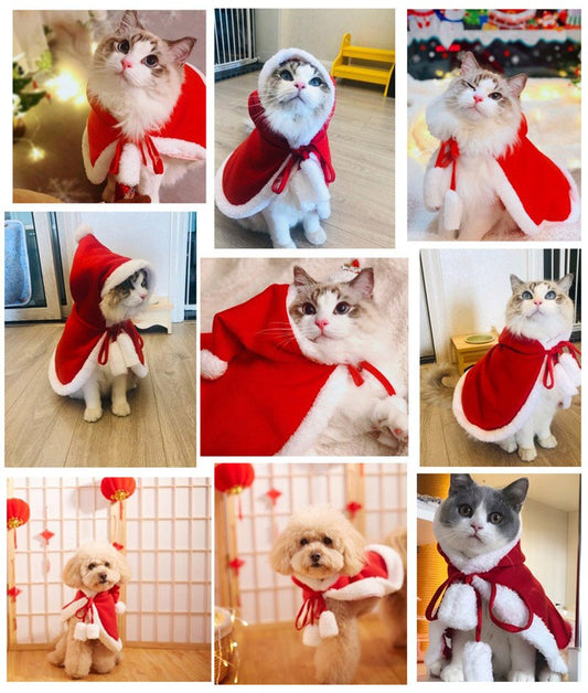 TEEK - Christmas Hoodie PET theteekdotcom
