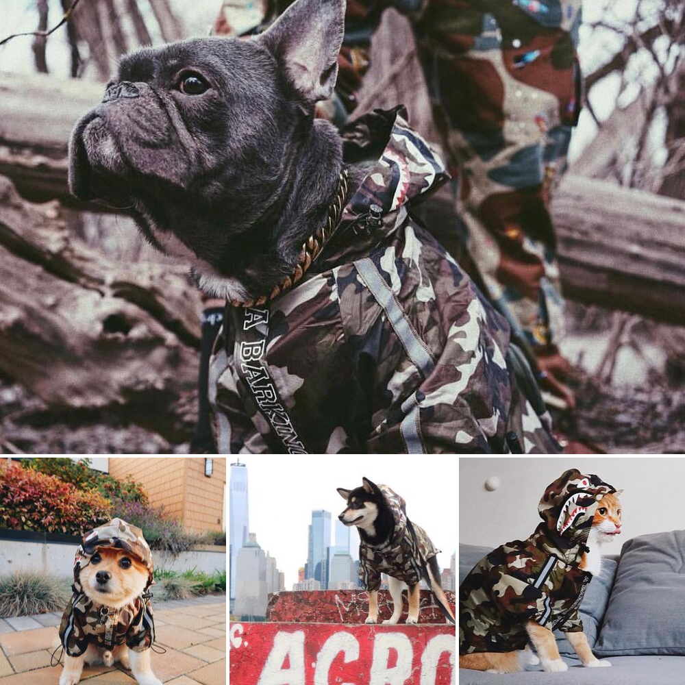 TEEK - The Doggy Dripcoat PET theteekdotcom