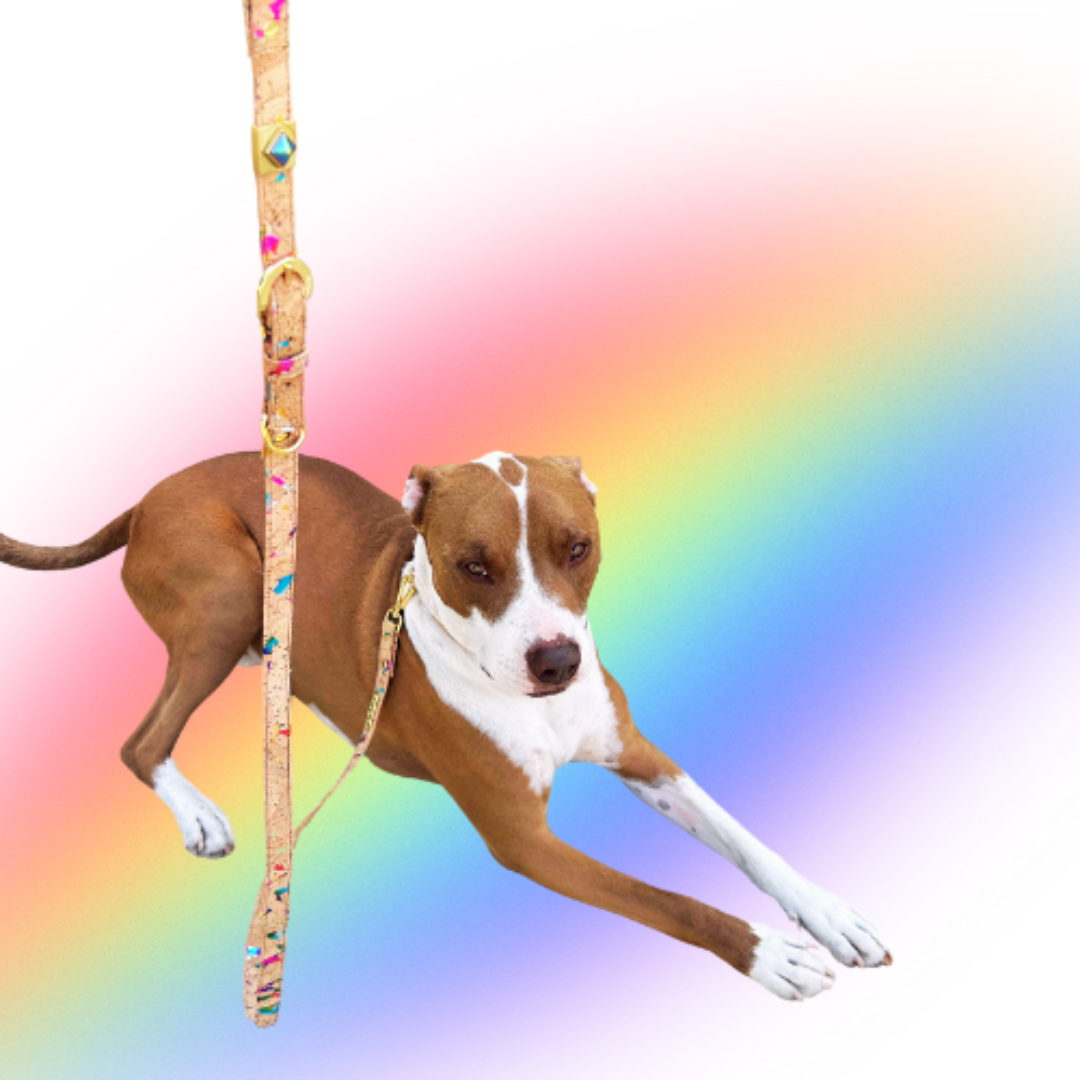 TEEK - Rainbow Pride Cork Leather Leash PET SUPPLIES TEEK DIP