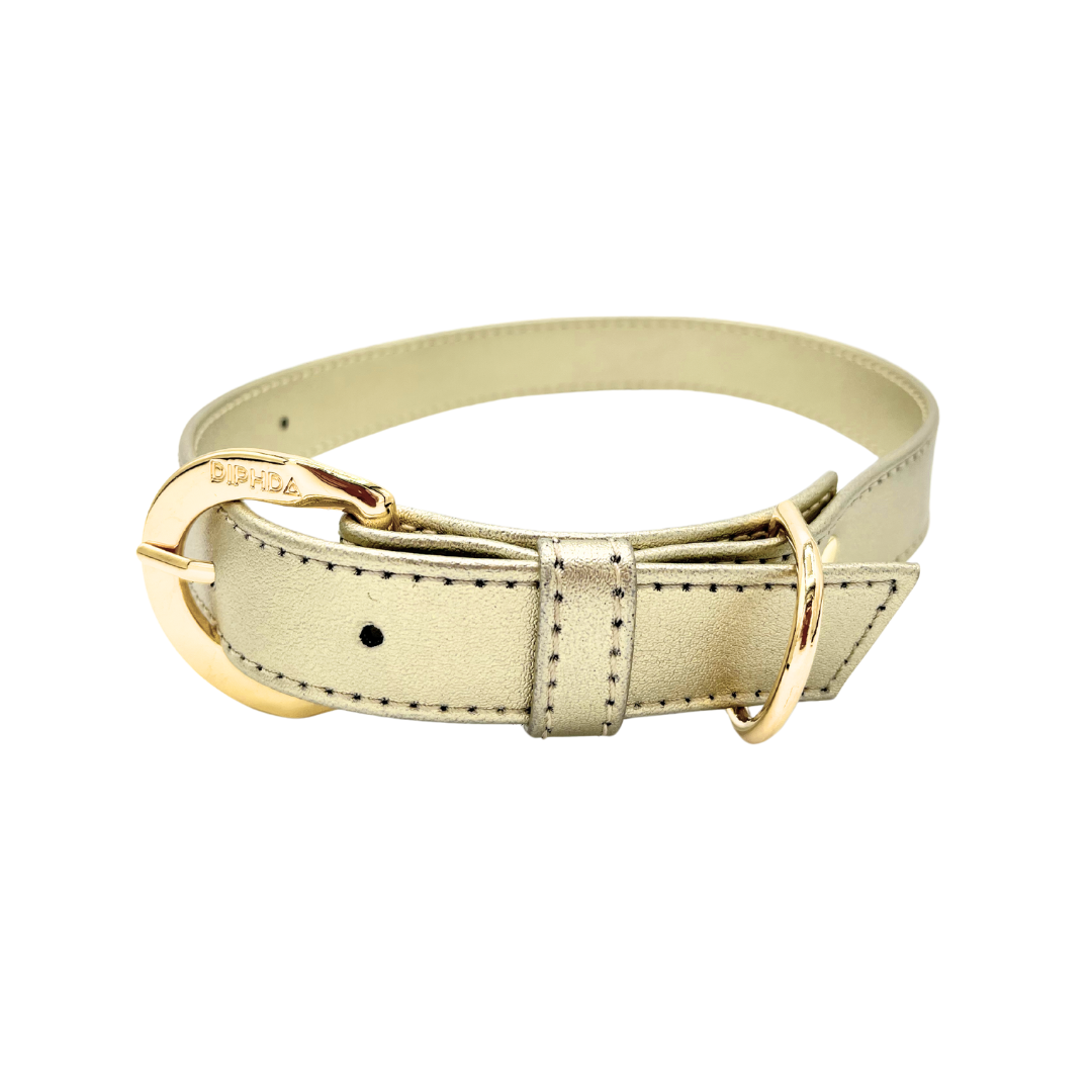 TEEK - Champagne Gold Cactus Collar PET SUPPLIES TEEK DIP S Gold Color
