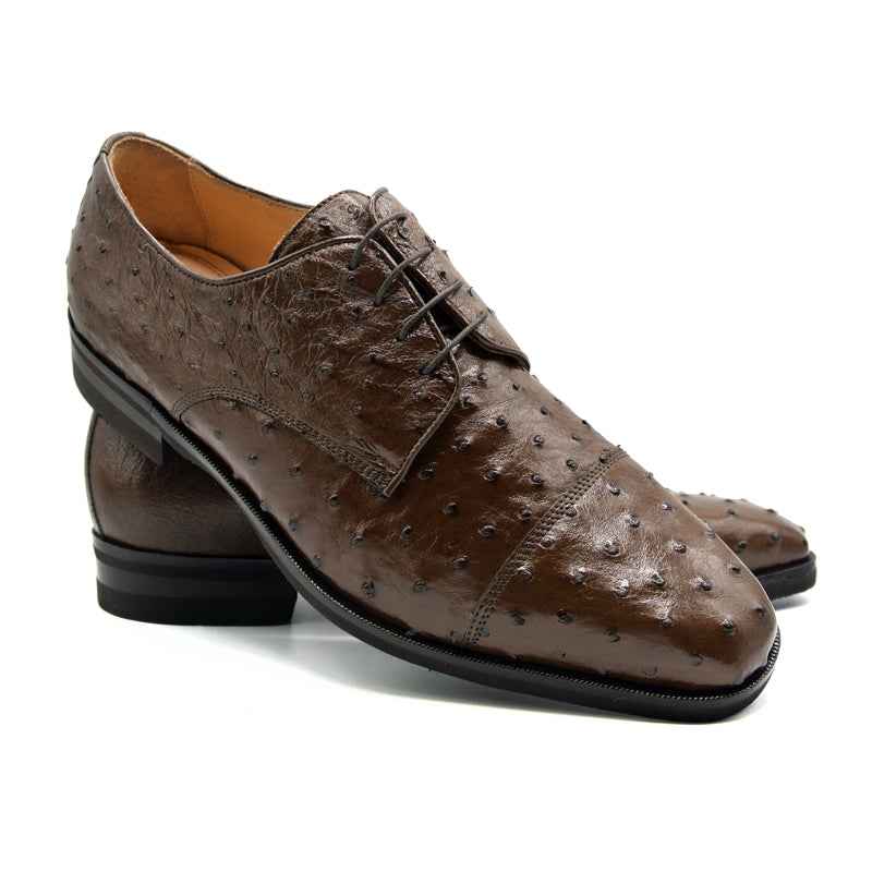 23-538-BRN ANDREA Ostrich Quill Lace Up, Brown Sale TEEK ZI