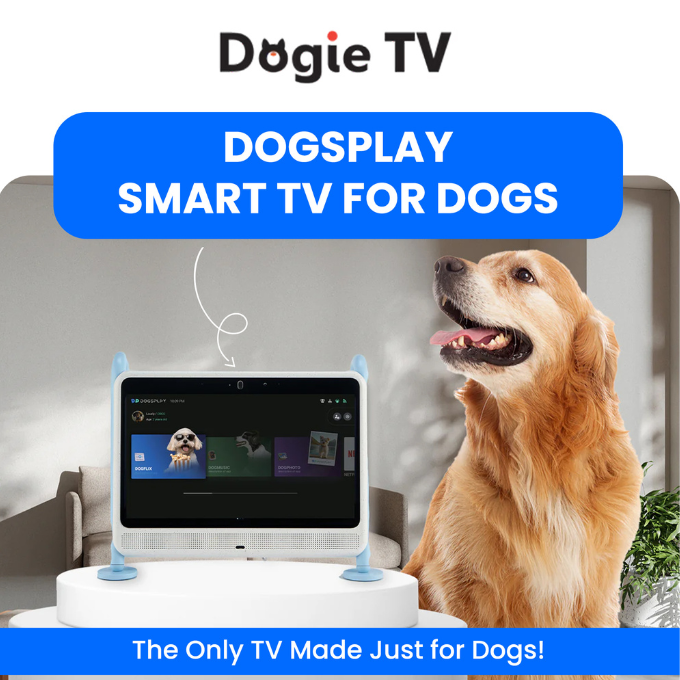TEEK - DOGSPLAY - SMART TV FOR DOGS PET SUPPLIES TEEK DTV