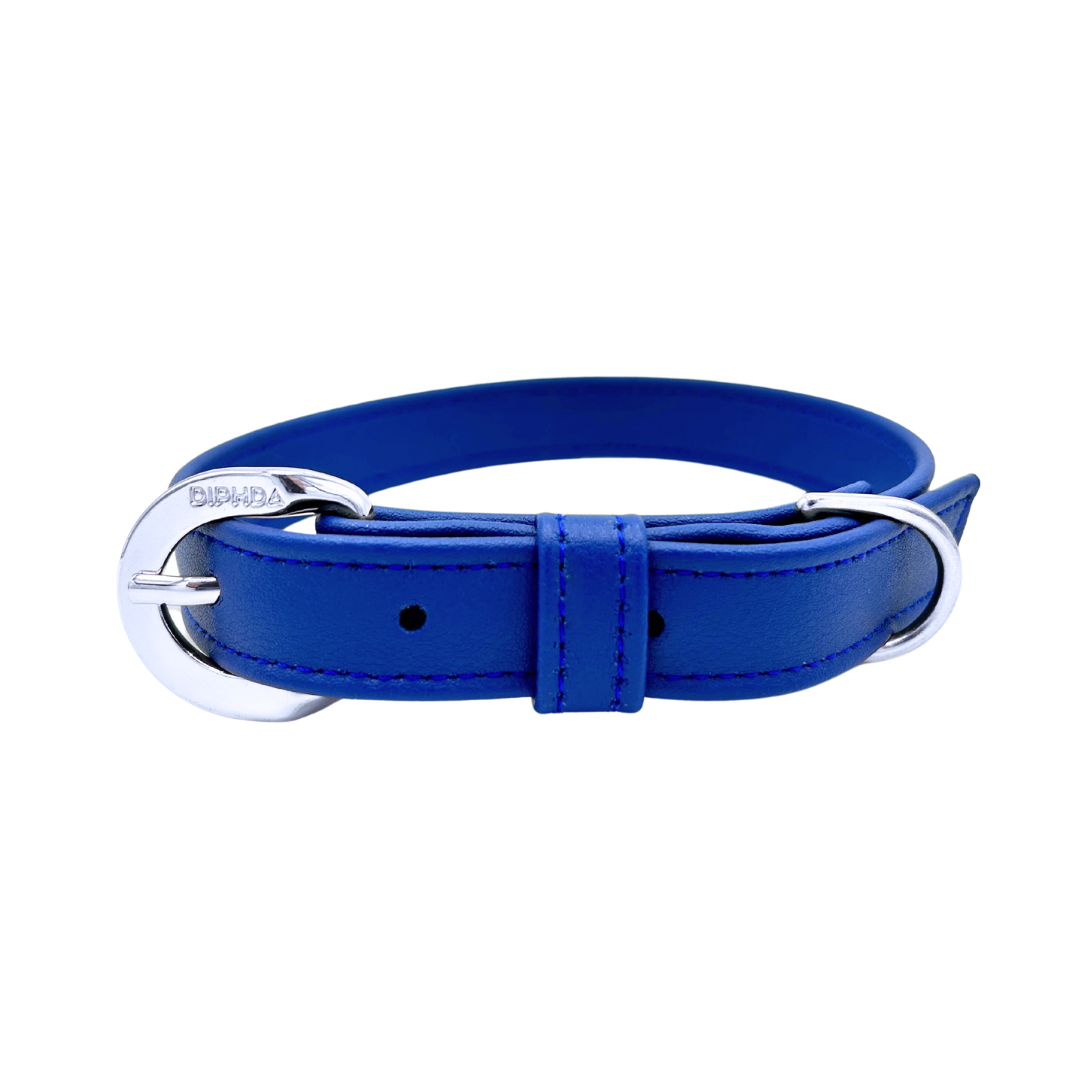 TEEK - Galactic Blue Cactus Collar PET SUPPLIES TEEK DIP S Silver Color