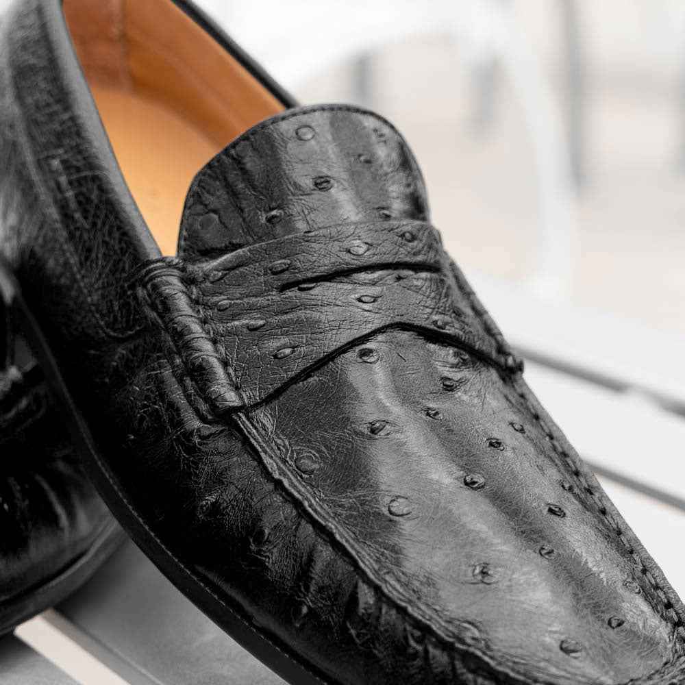 33-100-BLK MONZA Ostrich Quill Driver, Black Sale TEEK ZI