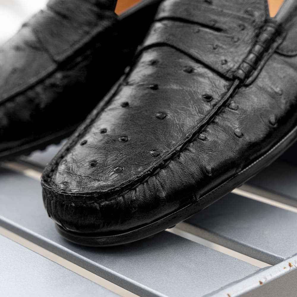 33-100-BLK MONZA Ostrich Quill Driver, Black Sale TEEK ZI