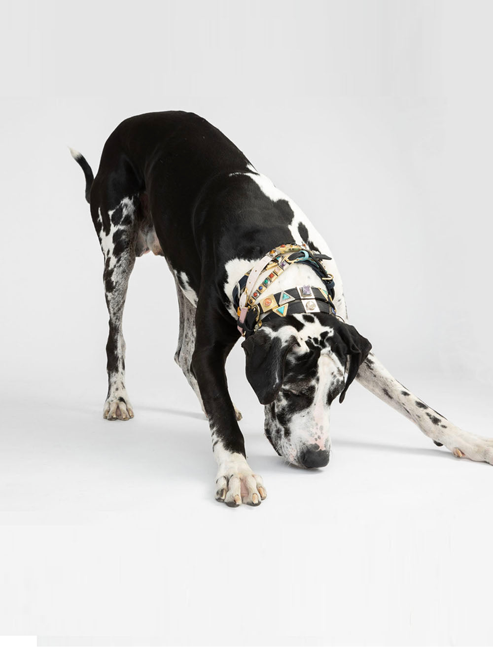 TEEK - Cloud White Cork Leather Collar PET SUPPLIES TEEK DIP