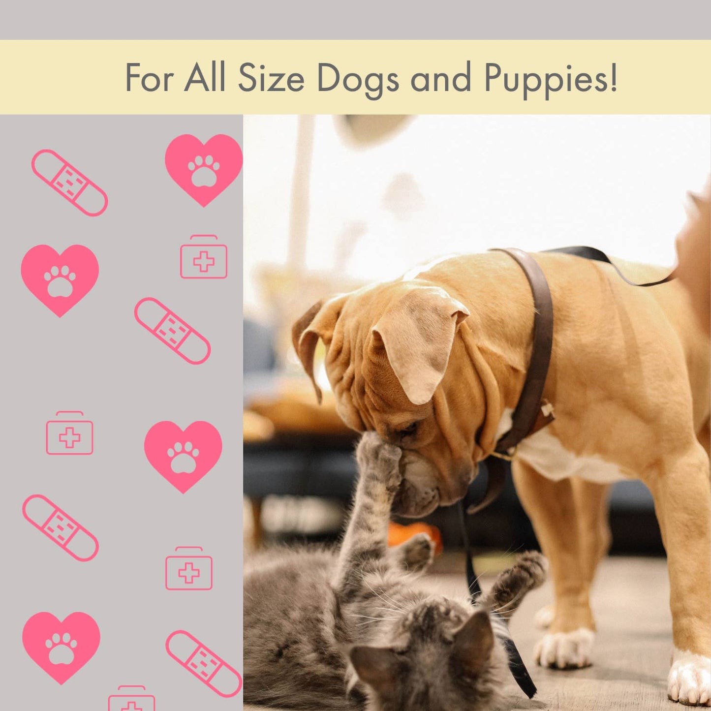 TEEK - Comprehensive 40-Piece Pet Travel First Aid Kit PET SUPPLIES TEEK APS