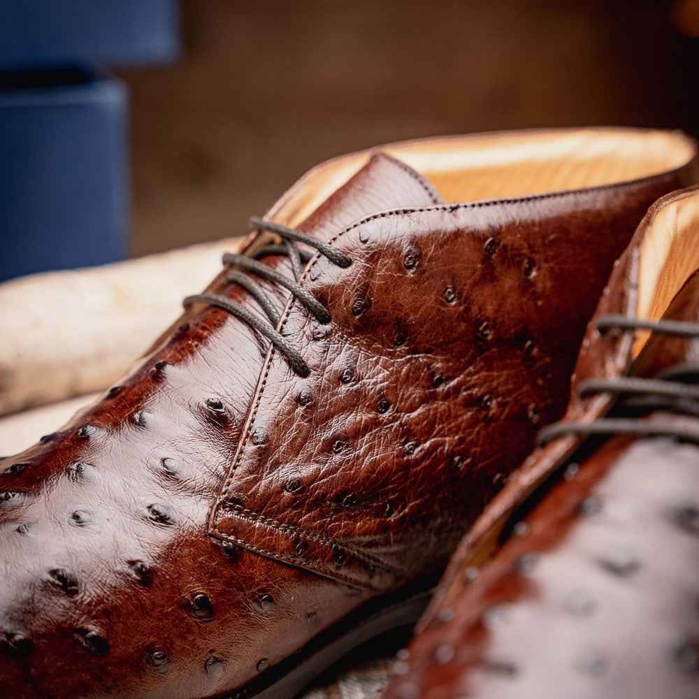 TEEK - 43-594-BRN MARCO Ostrich Quill Chukka Boot, Brown SHOES TEEK ZI