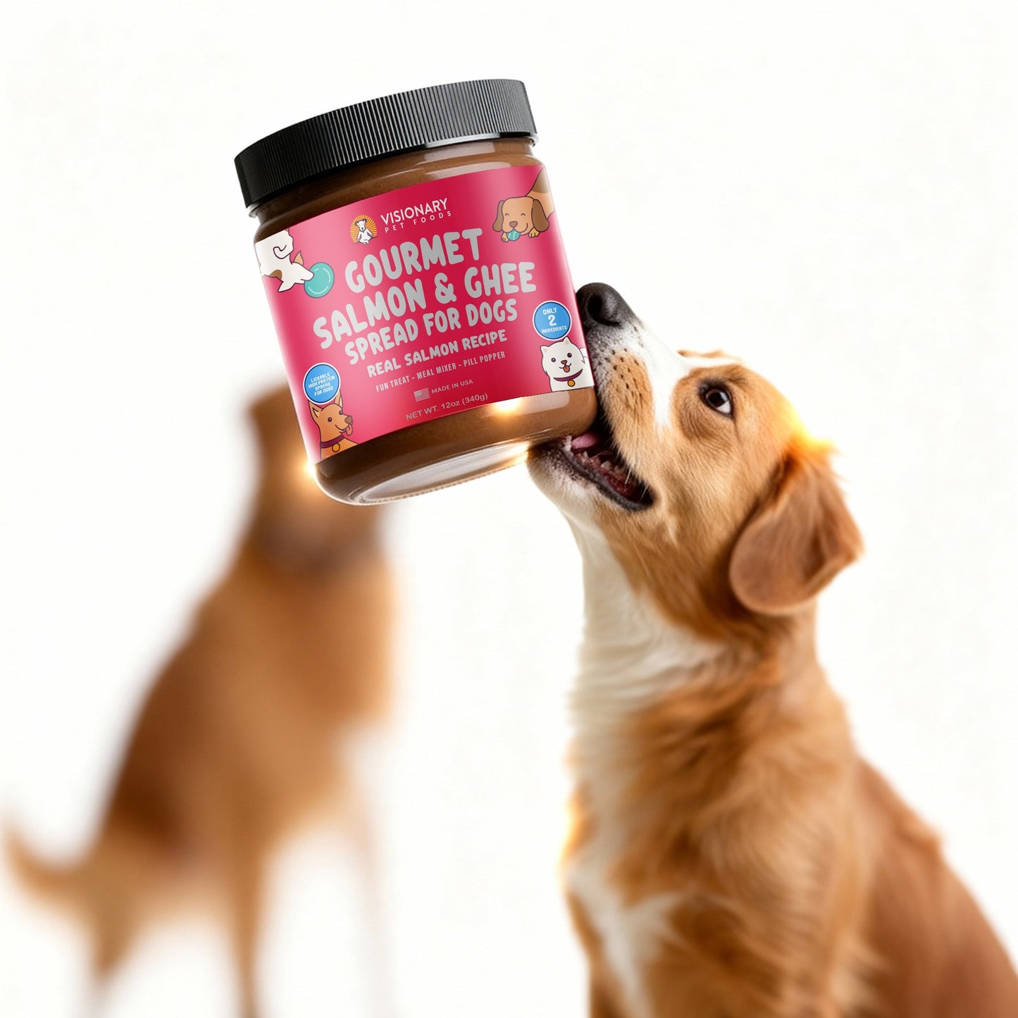 Salmon & Ghee Dog Meat Spread – High-Protein, Low-Carb Keto Treat | 12oz Jar Dog Treat Visionary Pet Foods