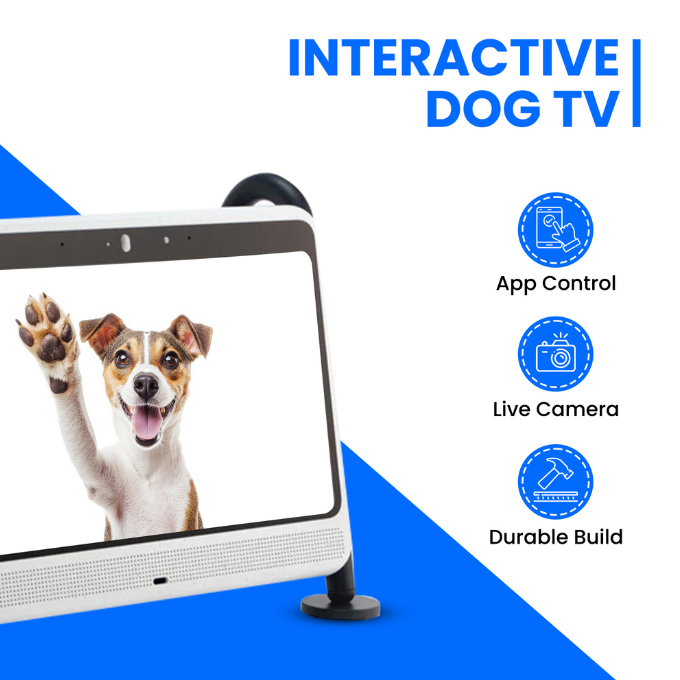 TEEK - DOGSPLAY - SMART TV FOR DOGS PET SUPPLIES TEEK DTV