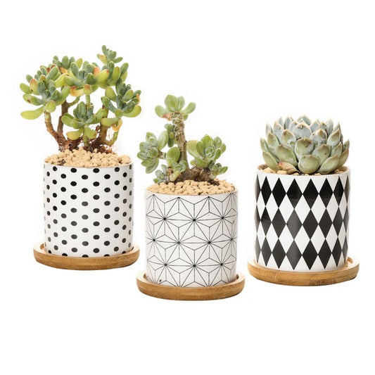 TEEK - B&W Planters Set of 3 HOME DECOR TEEK FG   