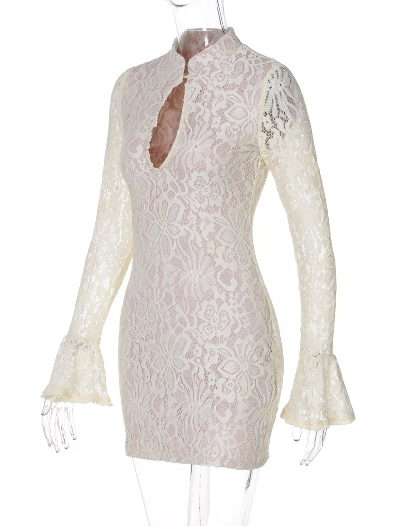 Lace Cutout Long Sleeve Mini Dress Trendsi