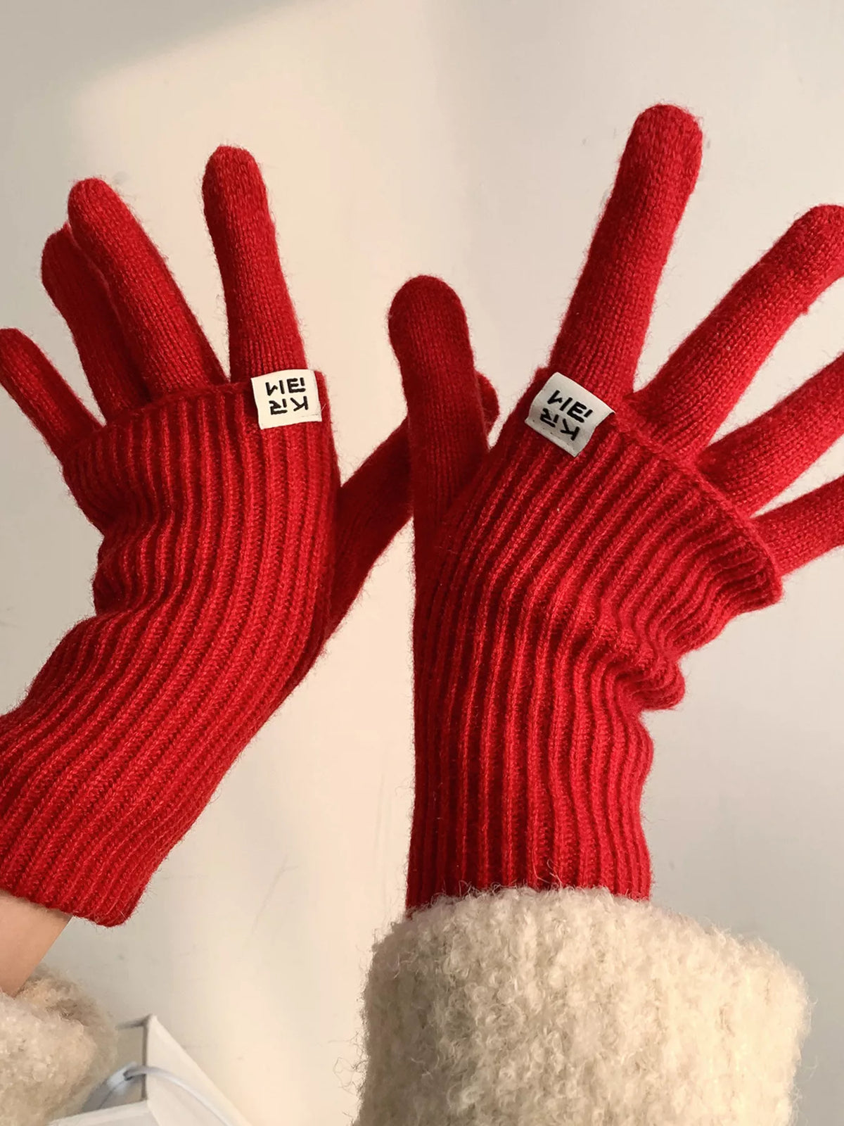TEEK - Ribbed Knit Winter Gloves GLOVES TEEK Trend