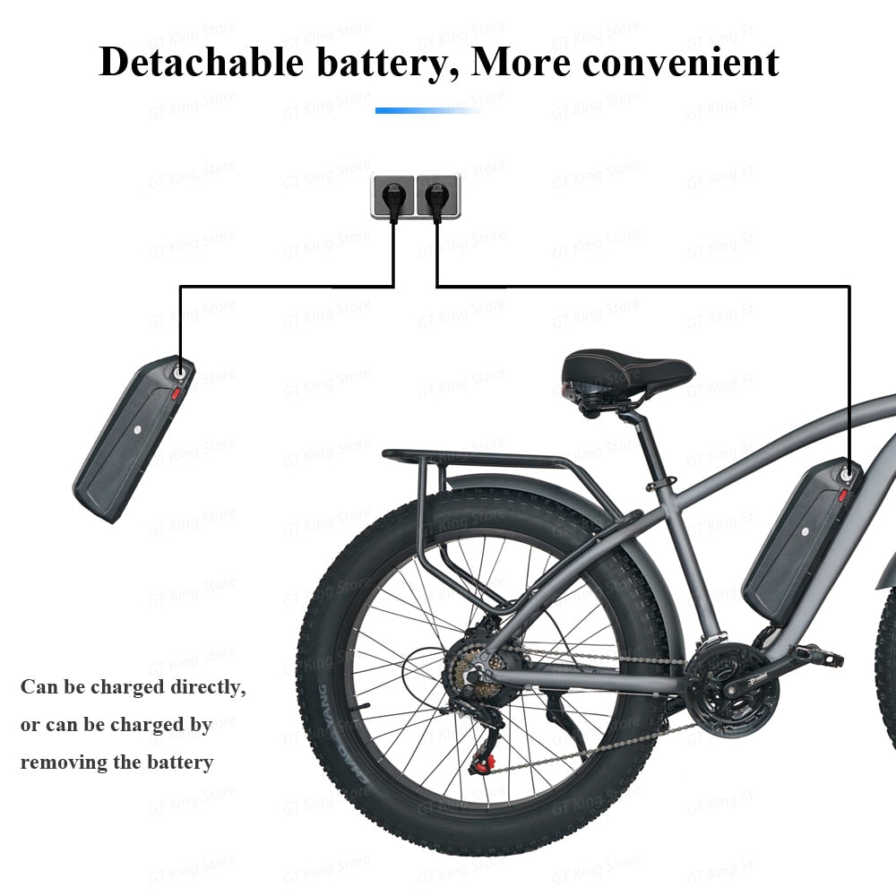 TEEK - Electric Fat Tires 750W Bike TRANSPORTATION theteekdotcom   