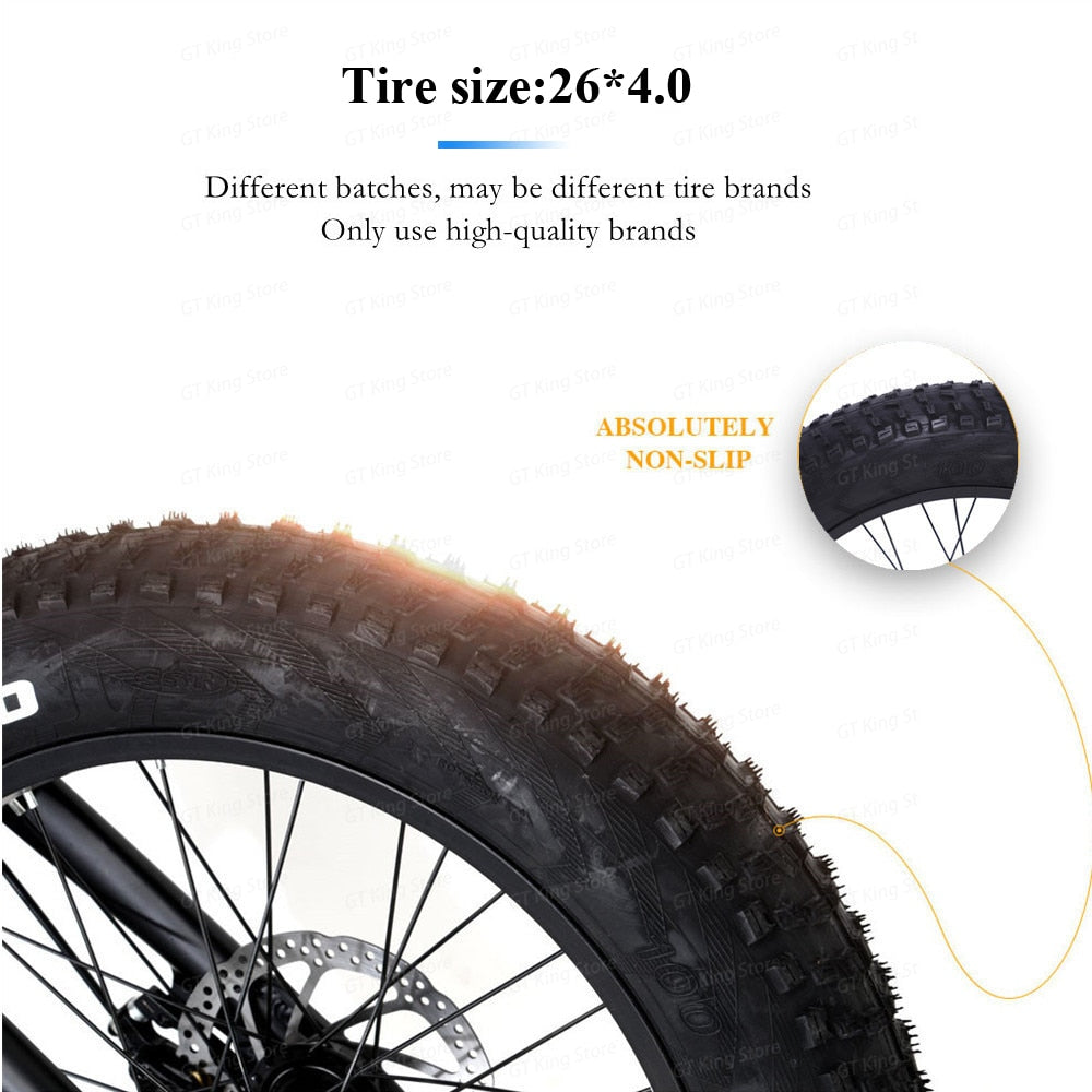 TEEK - Electric Fat Tires 750W Bike TRANSPORTATION theteekdotcom   