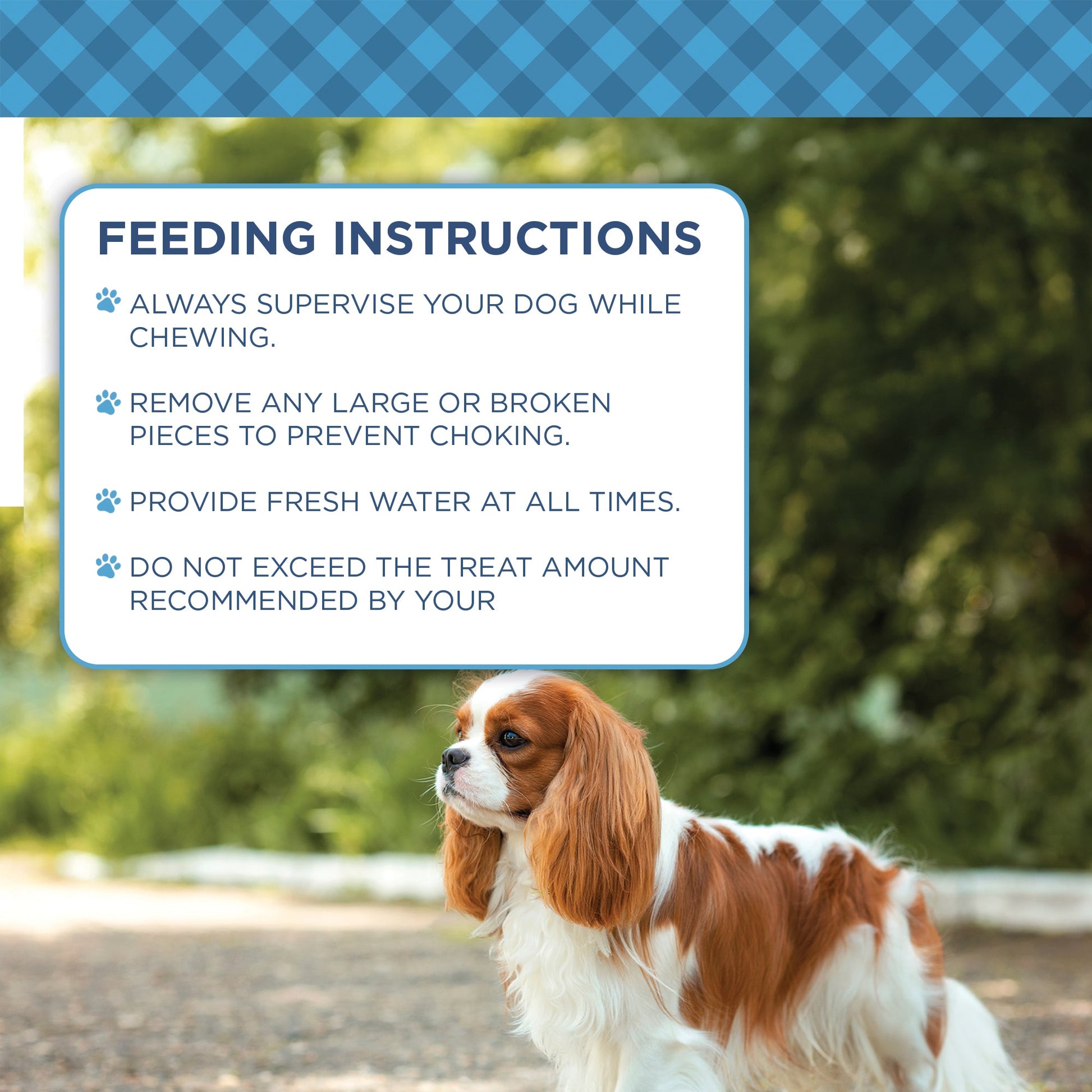 TEEK - Country Living 4” x 4” Beef Cheek Chip Dog Treats – Chicken Flavor – 5 Count Bag PET SUPPLIES TEEK APS