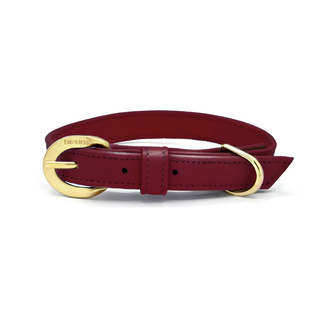 TEEK - Bordeaux Red Cactus Collar PET SUPPLIES TEEK DIP S Gold Color