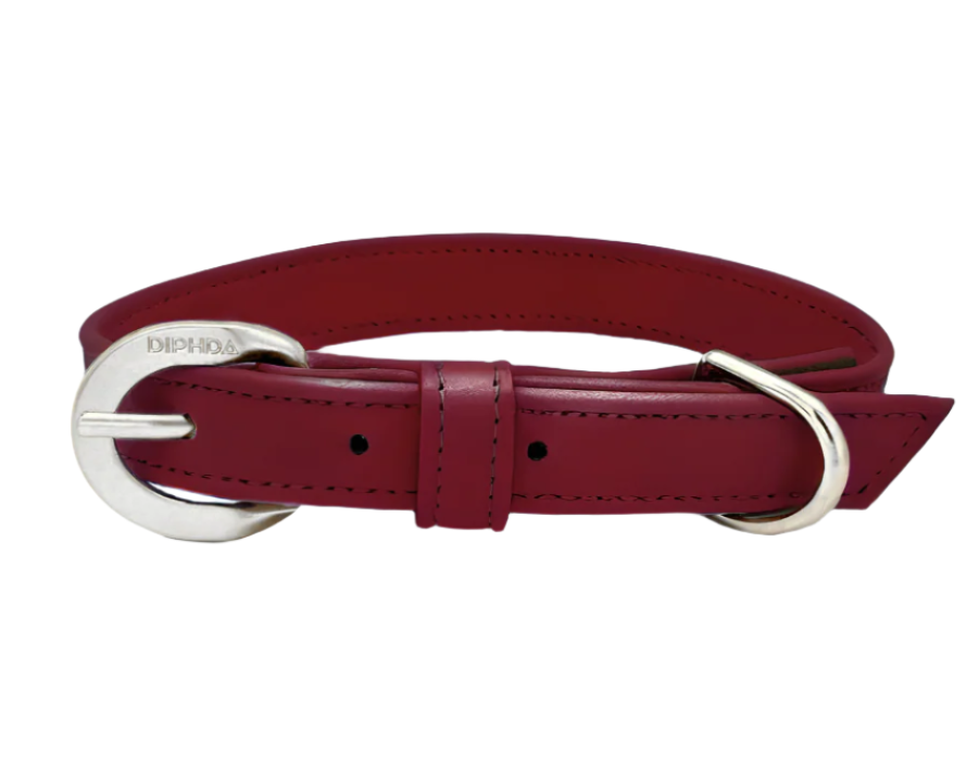 TEEK - Bordeaux Red Cactus Collar PET SUPPLIES TEEK DIP S Silver Color
