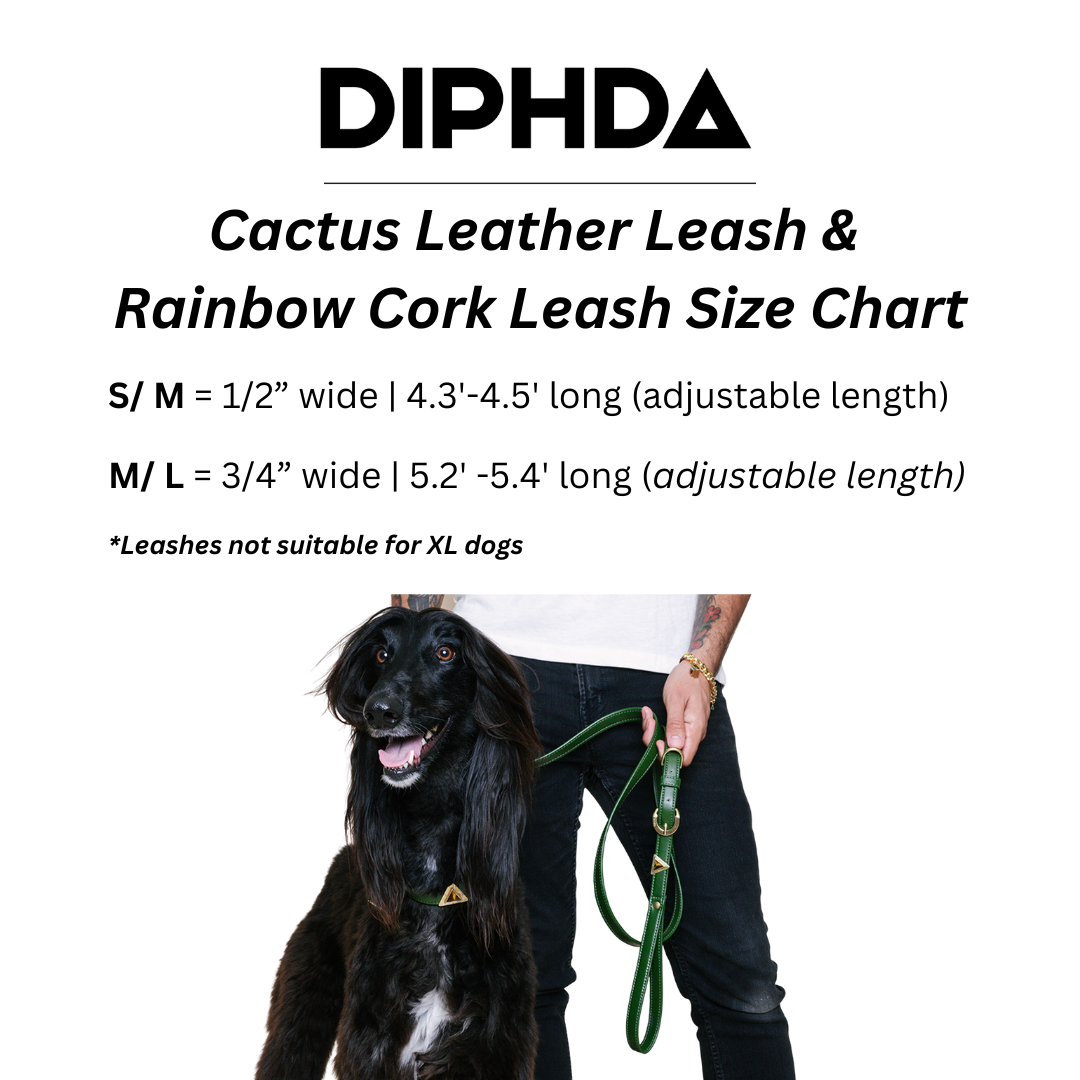 TEEK - Lavender Cactus Leash PET SUPPLIES TEEK DIP