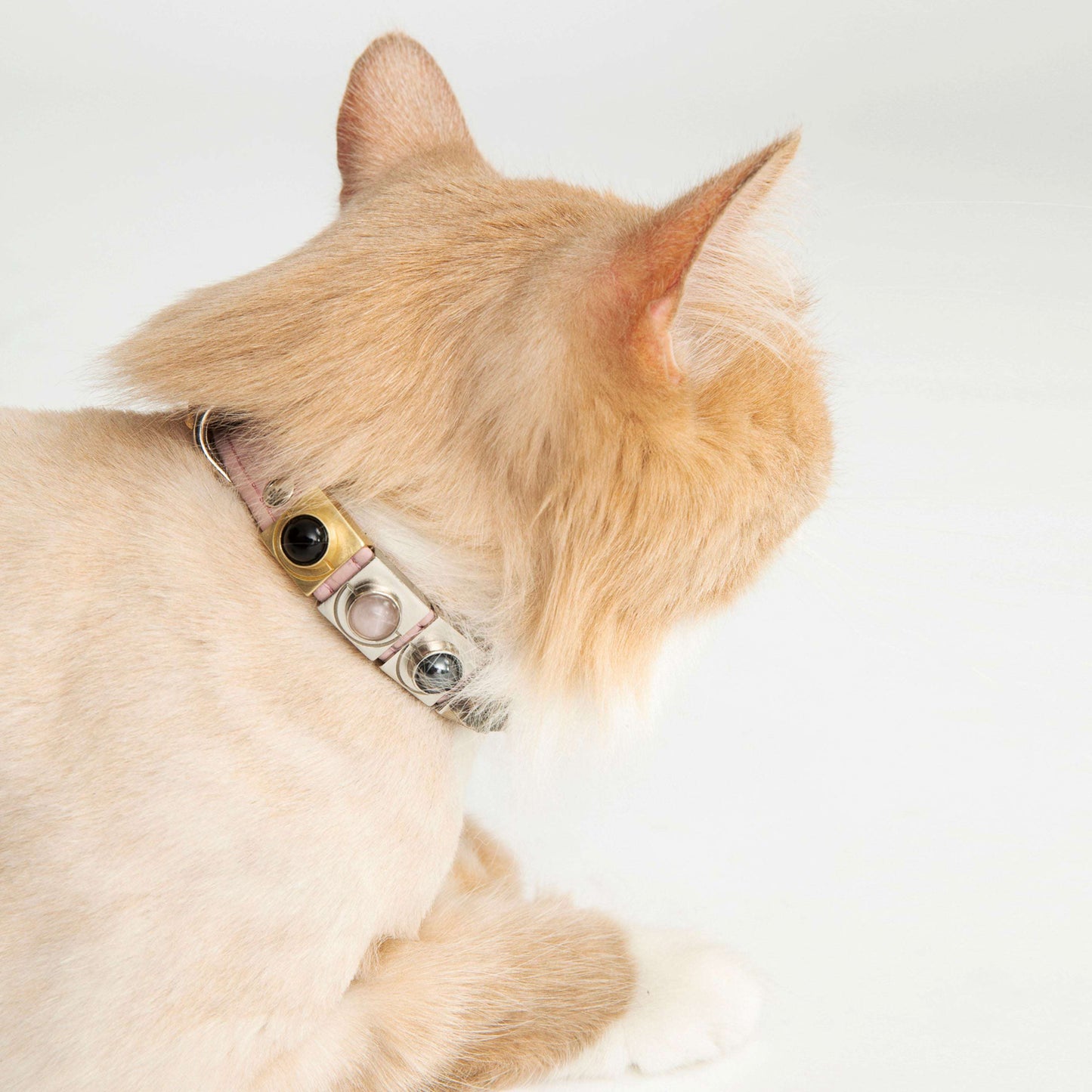 TEEK - Onyx Moon Crystal Charm – Gold or Silver | DIPHDA PET SUPPLIES TEEK DIP